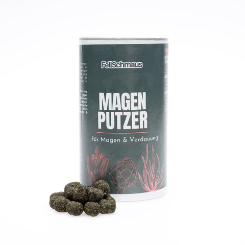 Magen Putzer