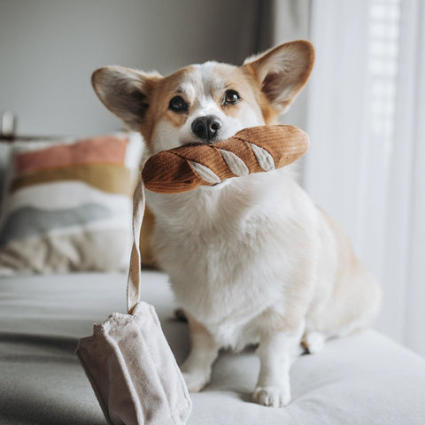 MINI-BAGUETTE | Hundespielzeug Baguette klein