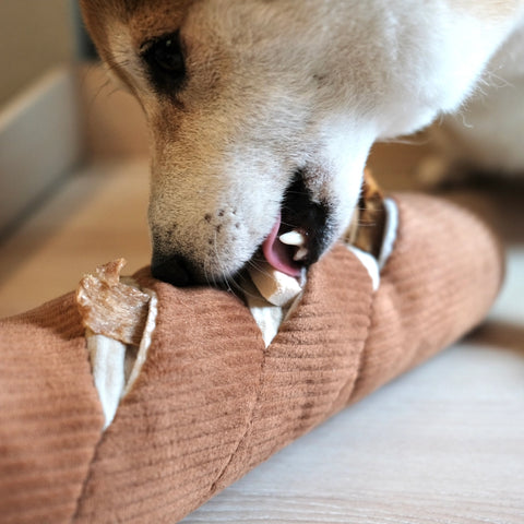 BAGUETTE | Hundespielzeug Baguette