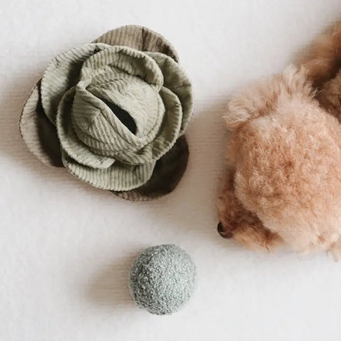 CABBAGE POP | Hundespielzeug Kohl Grün