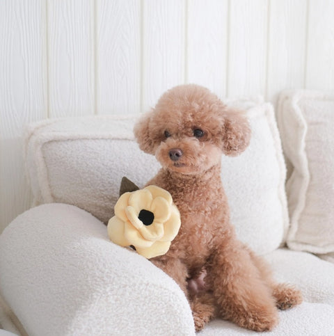 POPPY | Hundespielzeug Blume gelb