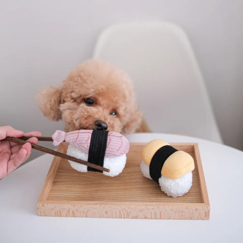SUSHI | Hundespielzeug Set