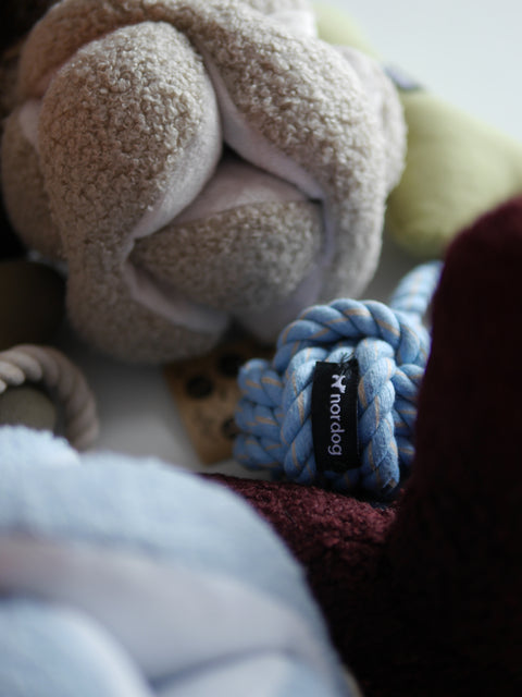 1x Hunde-Spielzeug gratis